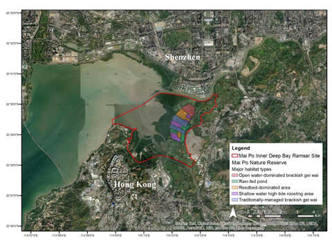 Croucher Ecology | Aerial illustration indicating the location and reach of
                    the Mai Po Inner Deep Bay Ramsar Site