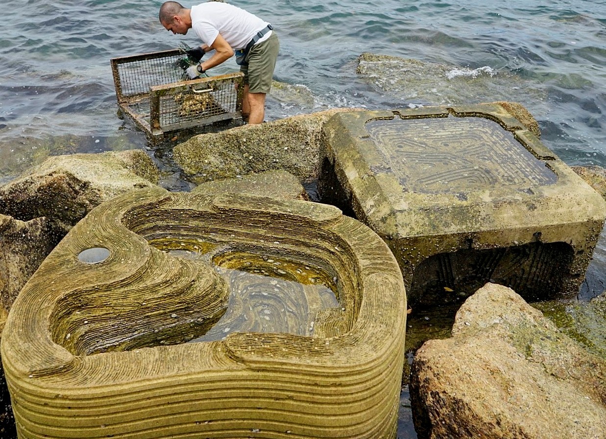 Croucher Ecology | Checking an oyster cage at the Sai Kung test site, next to eco-shoreline blocks that 
                    mimic the natural conditions of intertidal zones, creating tidal pools and providing 
                    shade